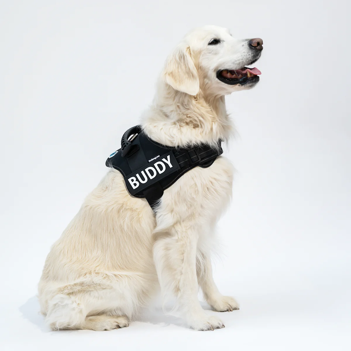 Anti-Choke Dog Harness