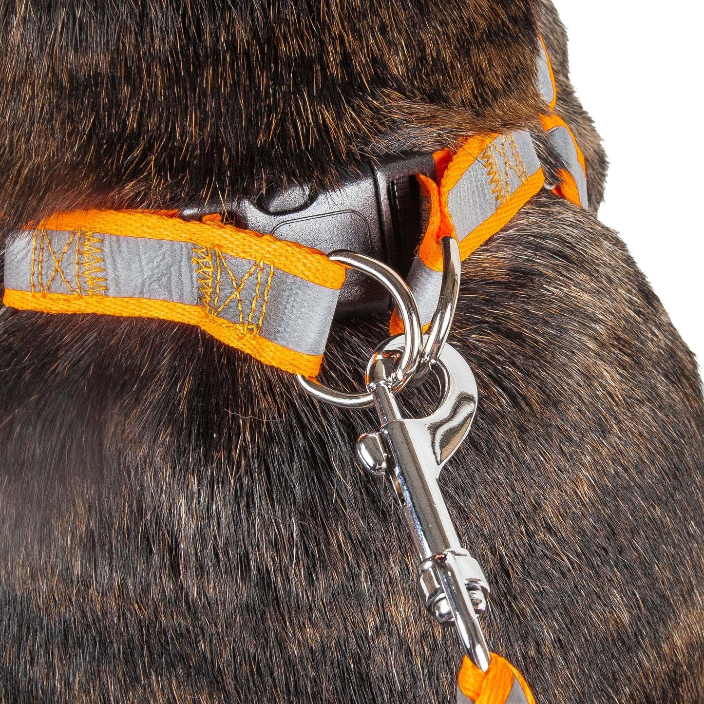 Reflective Stitched Easy Tension Adjustable 2-in-1 Dog Leash and Harness