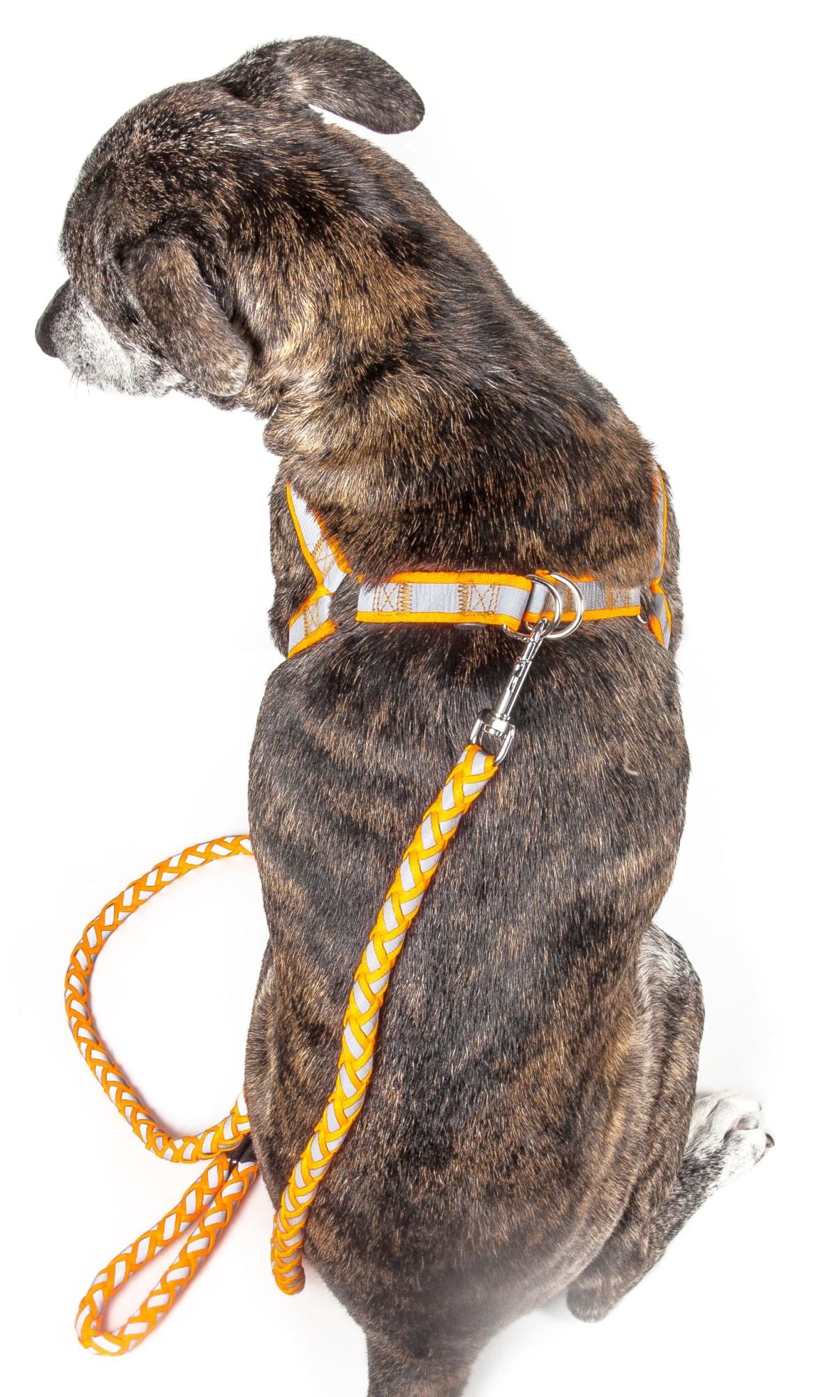 Reflective Stitched Easy Tension Adjustable 2-in-1 Dog Leash and Harness